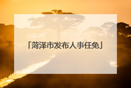 菏泽市发布人事任免