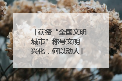 获授“全国文明城市”称号文明 兴化，何以动人