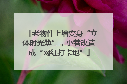 老物件上墙变身“立体时光簿”，小巷改造成“网红打卡地”