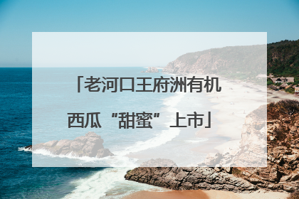 老河口王府洲有机西瓜“甜蜜”上市