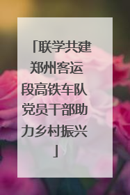 联学共建 郑州客运段高铁车队党员干部助力乡村振兴