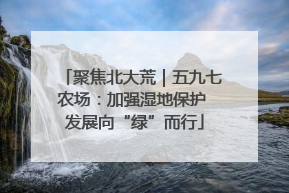 聚焦北大荒｜五九七农场：加强湿地保护 发展向“绿”而行