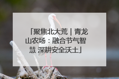 聚焦北大荒｜青龙山农场：融合节气智慧 深耕安全沃土