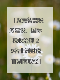 聚焦智慧税务建设、国际税收治理 29名非洲财税官湖南取经