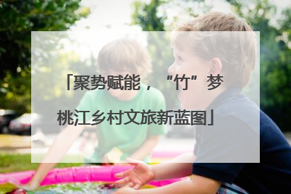 聚势赋能，“竹”梦桃江乡村文旅新蓝图