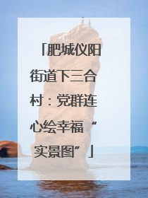 肥城仪阳街道下三合村：党群连心绘幸福“实景图”