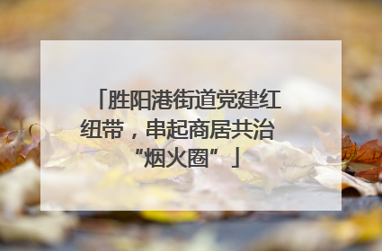 胜阳港街道党建红纽带，串起商居共治 “烟火圈”