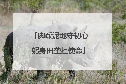 脚踩泥地守初心 躬身田垄担使命