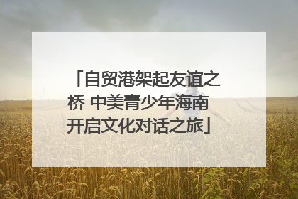 自贸港架起友谊之桥 中美青少年海南开启文化对话之旅