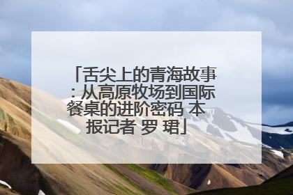 舌尖上的青海故事：从高原牧场到国际餐桌的进阶密码 本报记者 罗 珺