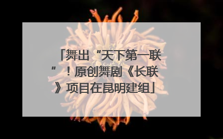 舞出“天下第一联”！原创舞剧《长联》项目在昆明建组