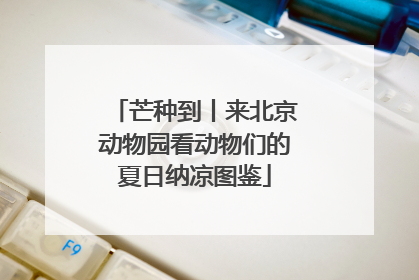 芒种到丨来北京动物园看动物们的夏日纳凉图鉴