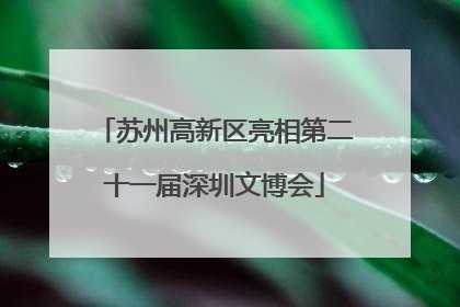 苏州高新区亮相第二十一届深圳文博会
