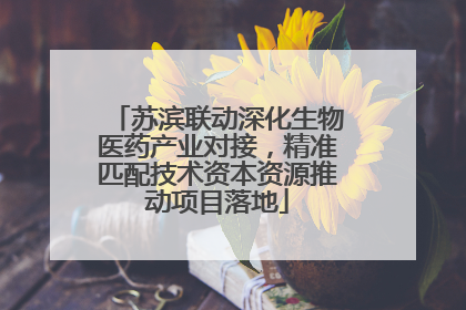 苏滨联动深化生物医药产业对接，精准匹配技术资本资源推动项目落地