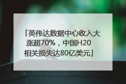 英伟达数据中心收入大涨超70%，中国H20相关损失达80亿美元