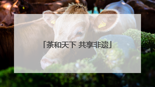 茶和天下 共享非遗