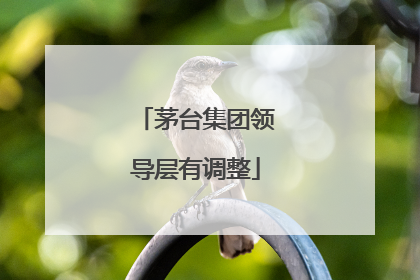 茅台集团领导层有调整