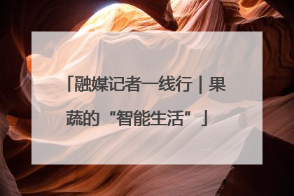 融媒记者一线行｜果蔬的“智能生活”