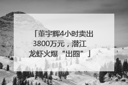 董宇辉4小时卖出3800万元，潜江龙虾火爆“出圈”