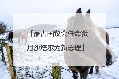 蒙古国议会任命赞丹沙塔尔为新总理