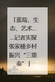 蓝莓、生态、艺术……记者实探张家楼乡村振兴“三重奏”