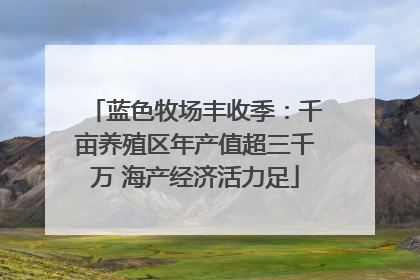蓝色牧场丰收季：千亩养殖区年产值超三千万 海产经济活力足