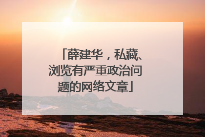 薛建华，私藏、浏览有严重政治问题的网络文章