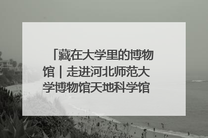 藏在大学里的博物馆｜走进河北师范大学博物馆天地科学馆：在校园里赴一场“宇宙之约”