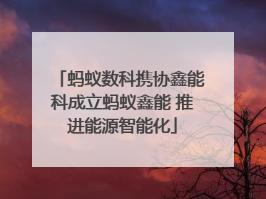 蚂蚁数科携协鑫能科成立蚂蚁鑫能 推进能源智能化