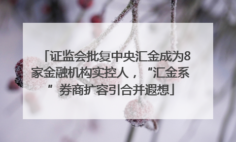 证监会批复中央汇金成为8家金融机构实控人，“汇金系”券商扩容引合并遐想