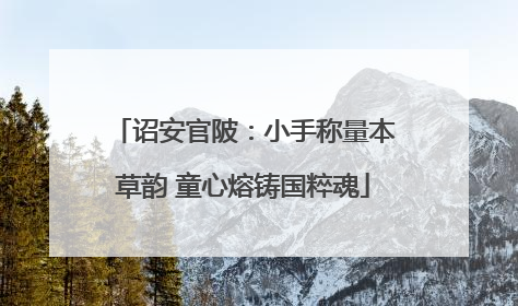 诏安官陂：小手称量本草韵 童心熔铸国粹魂