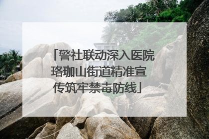 警社联动深入医院 珞珈山街道精准宣传筑牢禁毒防线