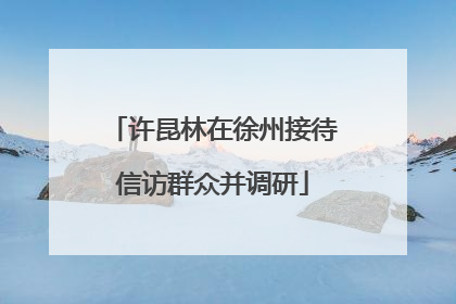 许昆林在徐州接待信访群众并调研