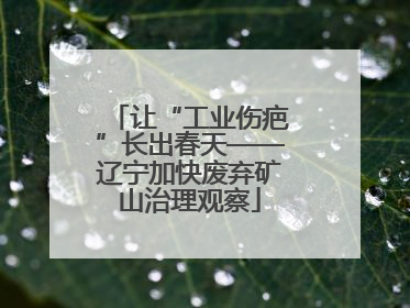 让“工业伤疤”长出春天——辽宁加快废弃矿山治理观察