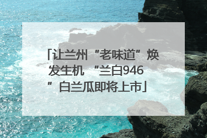 让兰州“老味道”焕发生机 “兰白946”白兰瓜即将上市