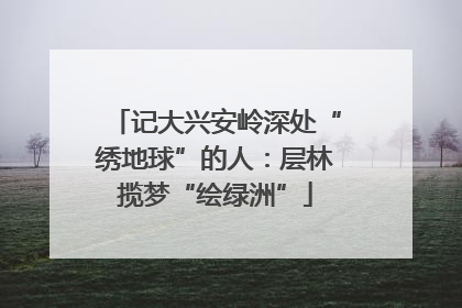 记大兴安岭深处“绣地球”的人：层林揽梦“绘绿洲”