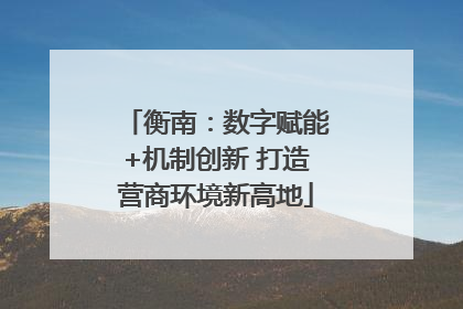 衡南：数字赋能+机制创新 打造营商环境新高地