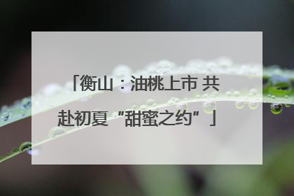 衡山：油桃上市 共赴初夏“甜蜜之约”