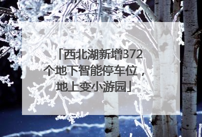 西北湖新增372个地下智能停车位，地上变小游园
