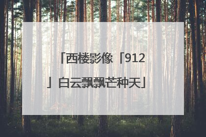 西楼影像「912」白云飘飘芒种天
