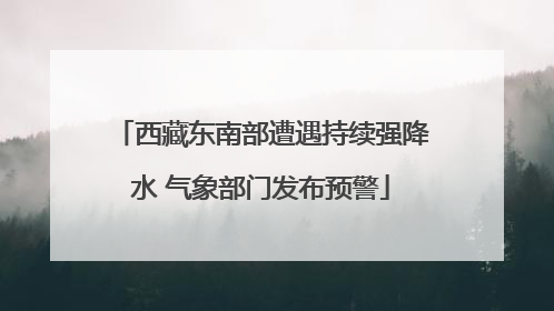 西藏东南部遭遇持续强降水 气象部门发布预警