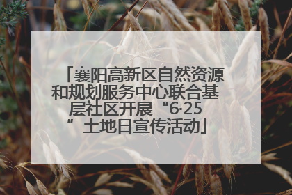 襄阳高新区自然资源和规划服务中心联合基层社区开展“6·25”土地日宣传活动