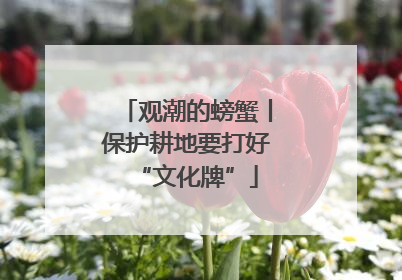 观潮的螃蟹丨保护耕地要打好“文化牌”