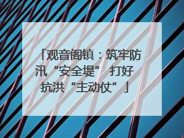 观音阁镇：筑牢防汛“安全堤” 打好抗洪“主动仗”