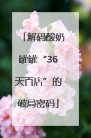 解码酸奶罐罐“36天百店”的破局密码
