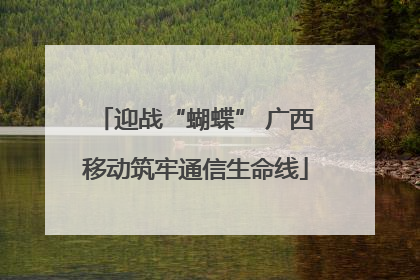 迎战“蝴蝶” 广西移动筑牢通信生命线