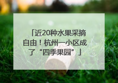 近20种水果采摘自由！杭州一小区成了“四季果园”