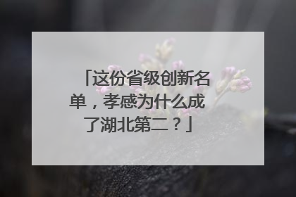 这份省级创新名单，孝感为什么成了湖北第二？