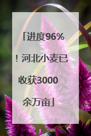 进度96%！河北小麦已收获3000余万亩