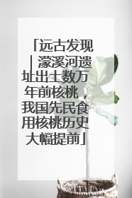 远古发现｜濛溪河遗址出土数万年前核桃，我国先民食用核桃历史大幅提前